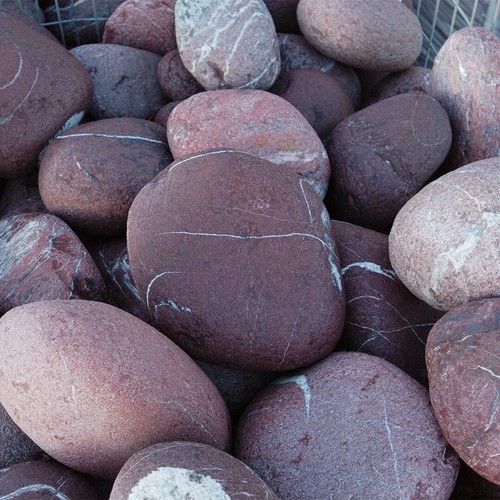Red laguna garden landscaping - garden,