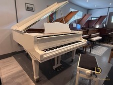 Young Chang G-185 (6 ft) Baby