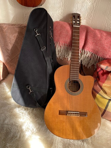 Alvarez alectro acoustic - alvarez, alectro-acoustic