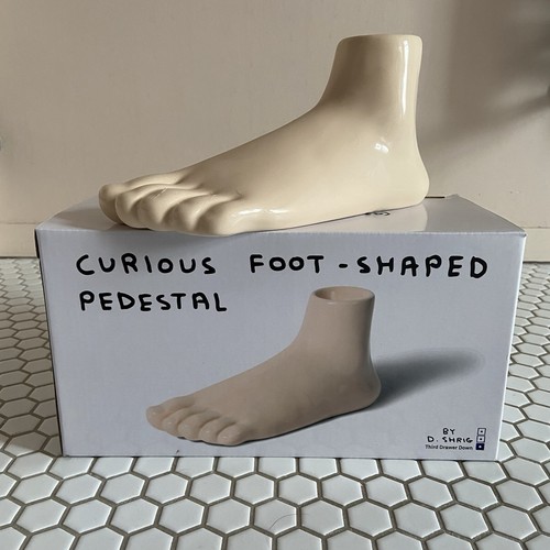 David shrigley curious - david,
