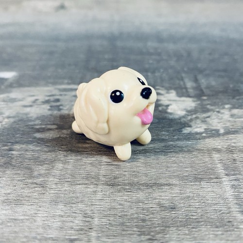 Chubby puppies mini golden - puppies,