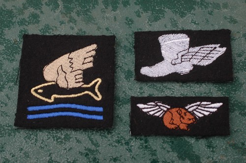 Royal airforce raf - royal,