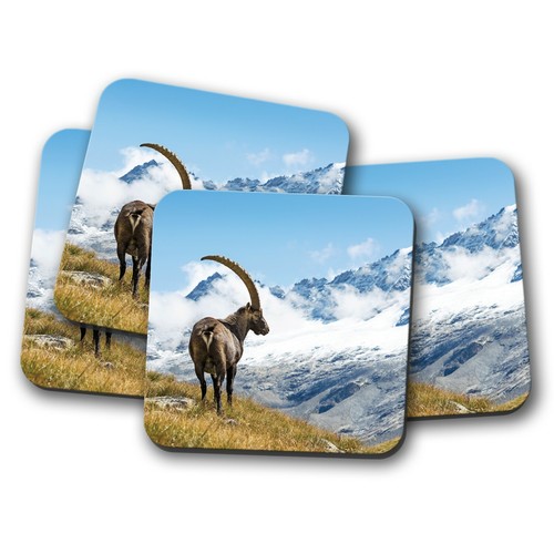 Set ibex goat alpine - 4,