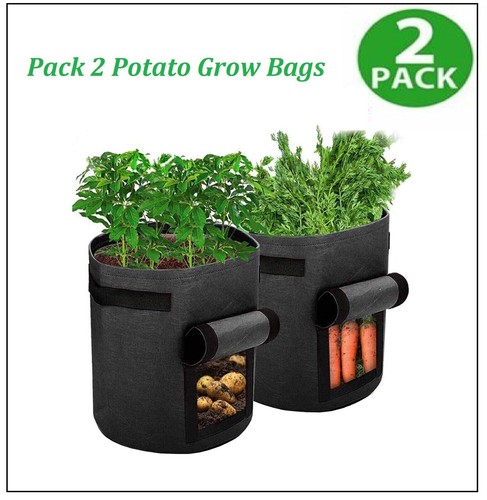 Gallon potato grow planter - potato,