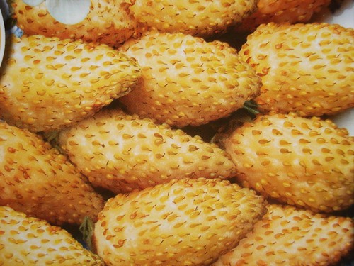 Russian strawberry seeds - strawberry,
