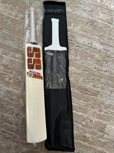 Vaibhav sooryavanshi player - ss,