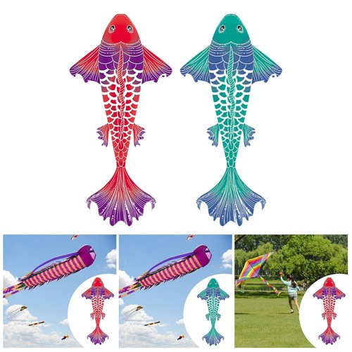 Large koi fish dragon - fish, dragon,