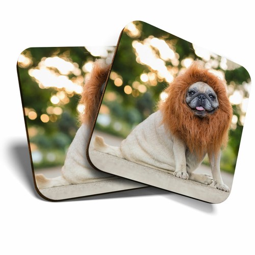 Coasters cute pug lion - cute,