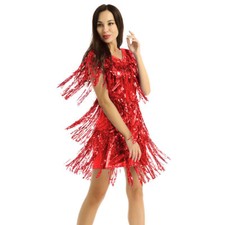 Women Sequin Salsa Latin Dance 1920s Fringe Flapper Samba Dress Tango Costume 