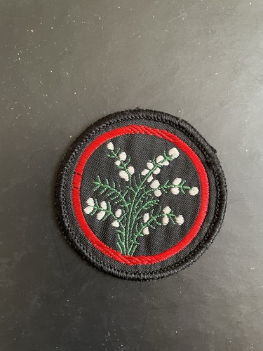 Girlguiding guide white - girlguiding,