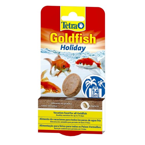 Tetra goldfish cold water fish - tetra,