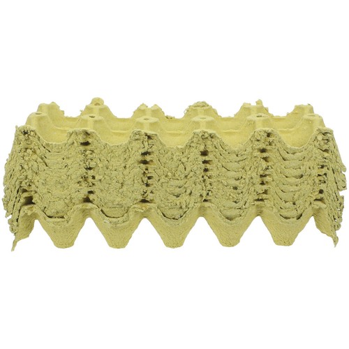 Pcs egg storage containers - pcs,