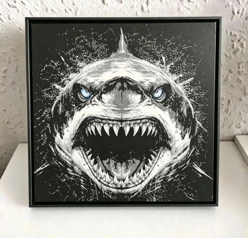 Framed great white shark - great,