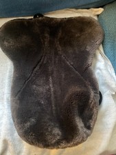 Shires Performance 19” Brown