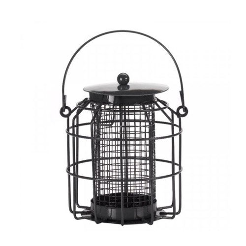 Chapelwood compact squirrel - chapelwood,