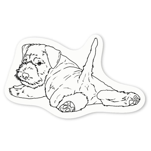 Schnauzer puppy relaxing - 'schnauzer,