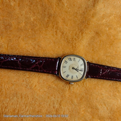Ladies gold plated longines - plated,