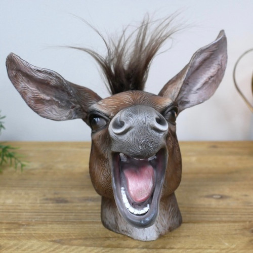 Crazy donkey head ornament - donkey, –