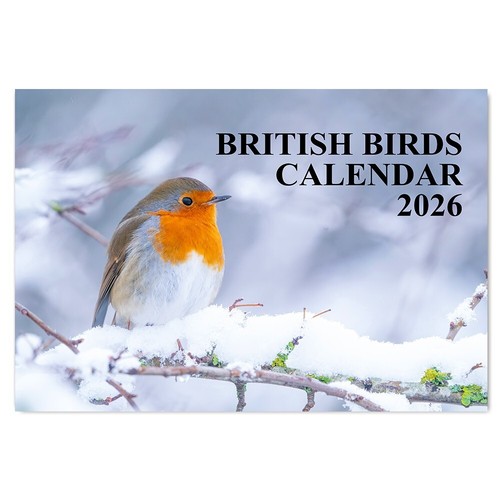 2026 british birds wall - 2026,