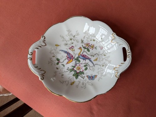 Coalport paradise pattern - "paradise",