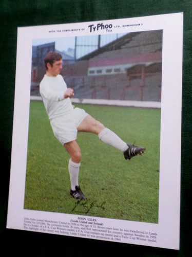 Typhoo tea football card - ,