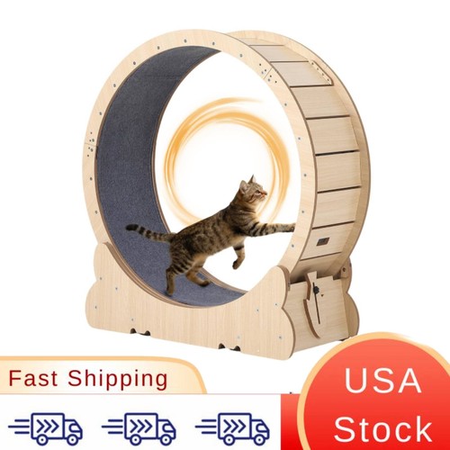 For big cats multiple indoor - for,