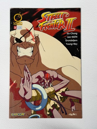 Street fighter 2 skottie - fighter, ii