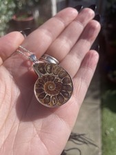 Natural Ammonite Pendant On