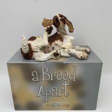 Breed apart english springer - a,