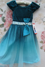 BNWT Teal Blue Velvet Tulle