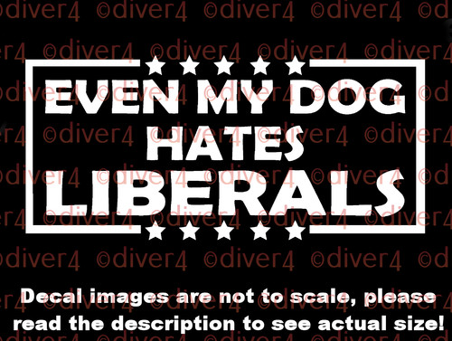Even dog hates - even, liberals