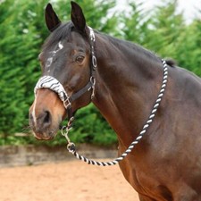 Horse Padded Headcollar