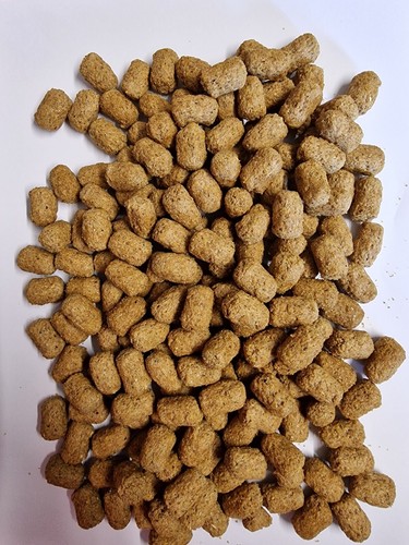 Mazuri tortoise food - tortoise,