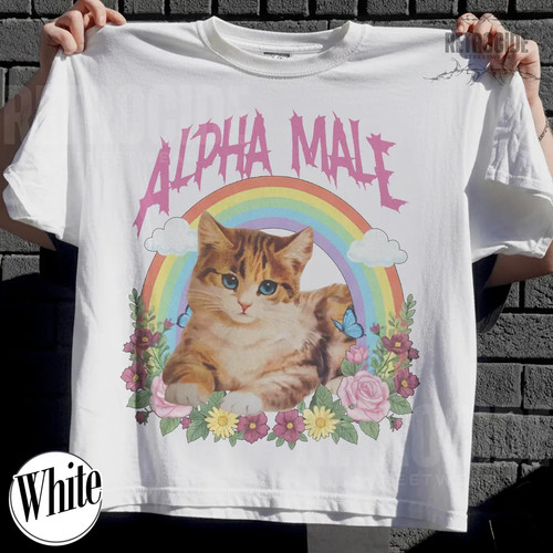 Alpha male funny kitten - alpha,