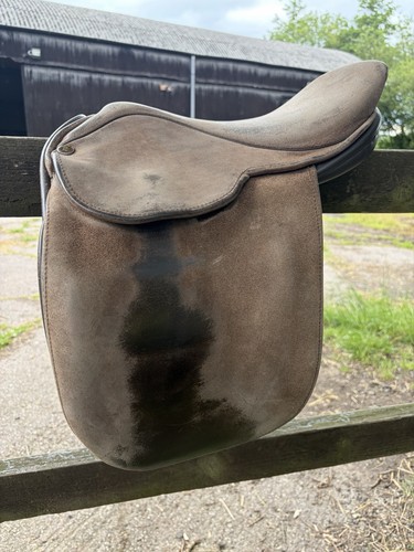 Fylde haydon show - 15”,