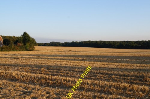 Photo 6x4 east field 5 - east, (37.5