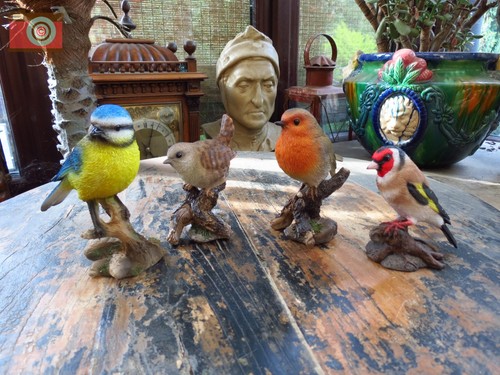 Set garden birds vivid - set, 4