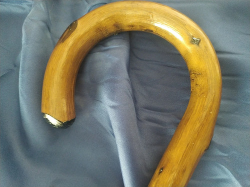 Green chestnut gentleman - green, crook