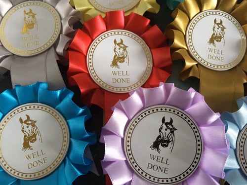 Tier pretty horse head - 10,