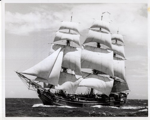 Mutiny the bounty - the,