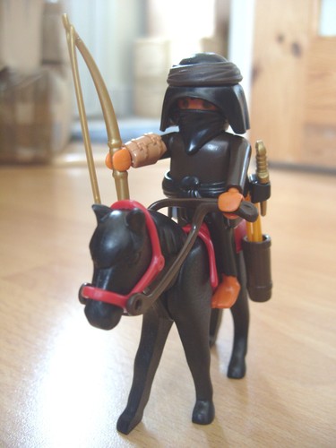 Playmobil 100 complete set - 100%,