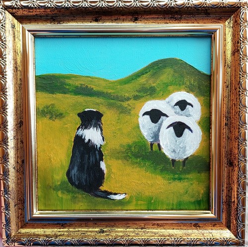 Border collie herding sheep - herding,