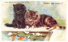 MABEL GEAR POSTCARD BLACK PERSIAN AND BROWN TABBY KITTENS CATS " WHAT ARE THEY ?