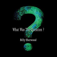 Billy Sherwood - What Was The