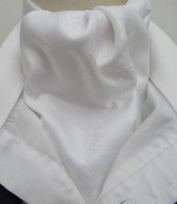 Mens White Paisley Satin Ascot