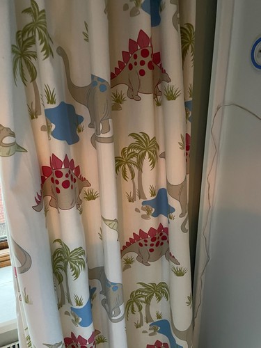 Dinosaur curtains and - curtains, bedding