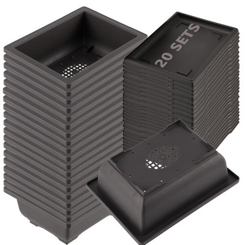 Pcs inch bonsai - 20,