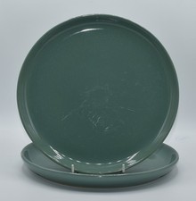 Set of 2 Denby Manor Green 10