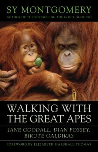 Walking with the great - with,