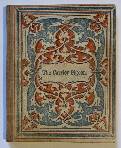 1851 juvenile carrier pigeon - juvenile~carrier,